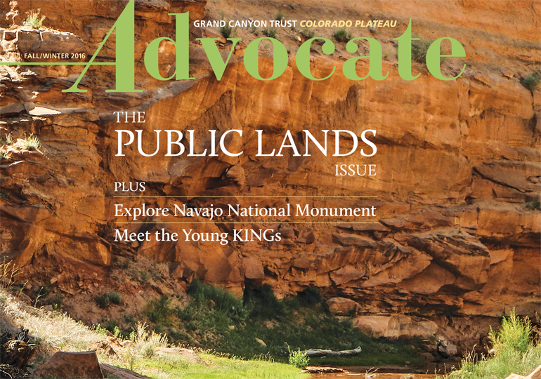 Read the Advocate Magazine