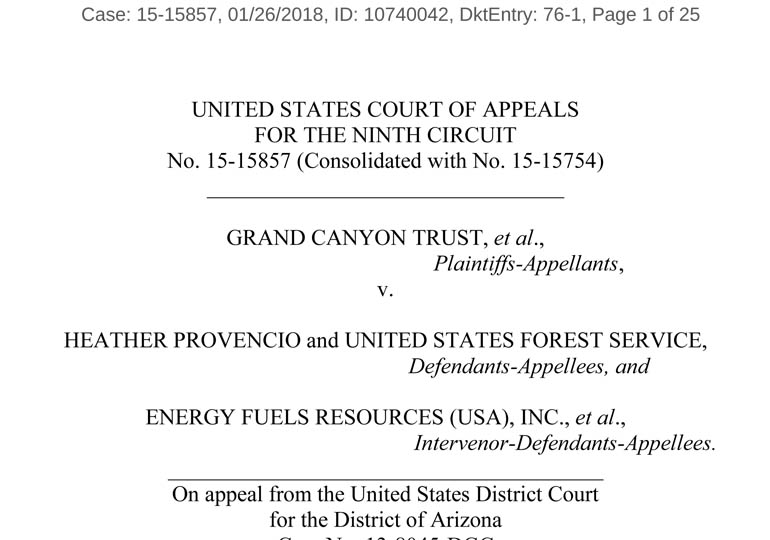 Petition for rehearing en banc in Canyon Mine Case