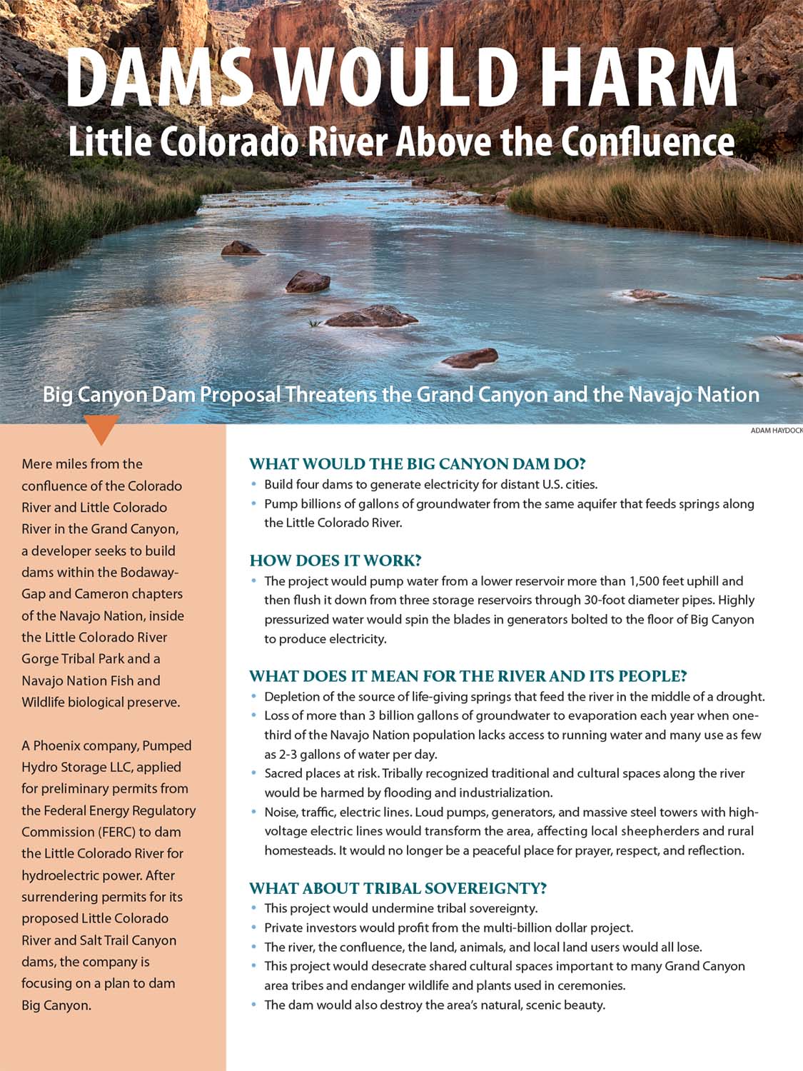 Dams would hurt the Little Colorado River Above the Confluence