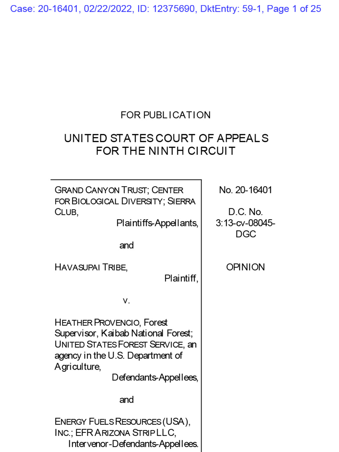 Canyon Mine court decision