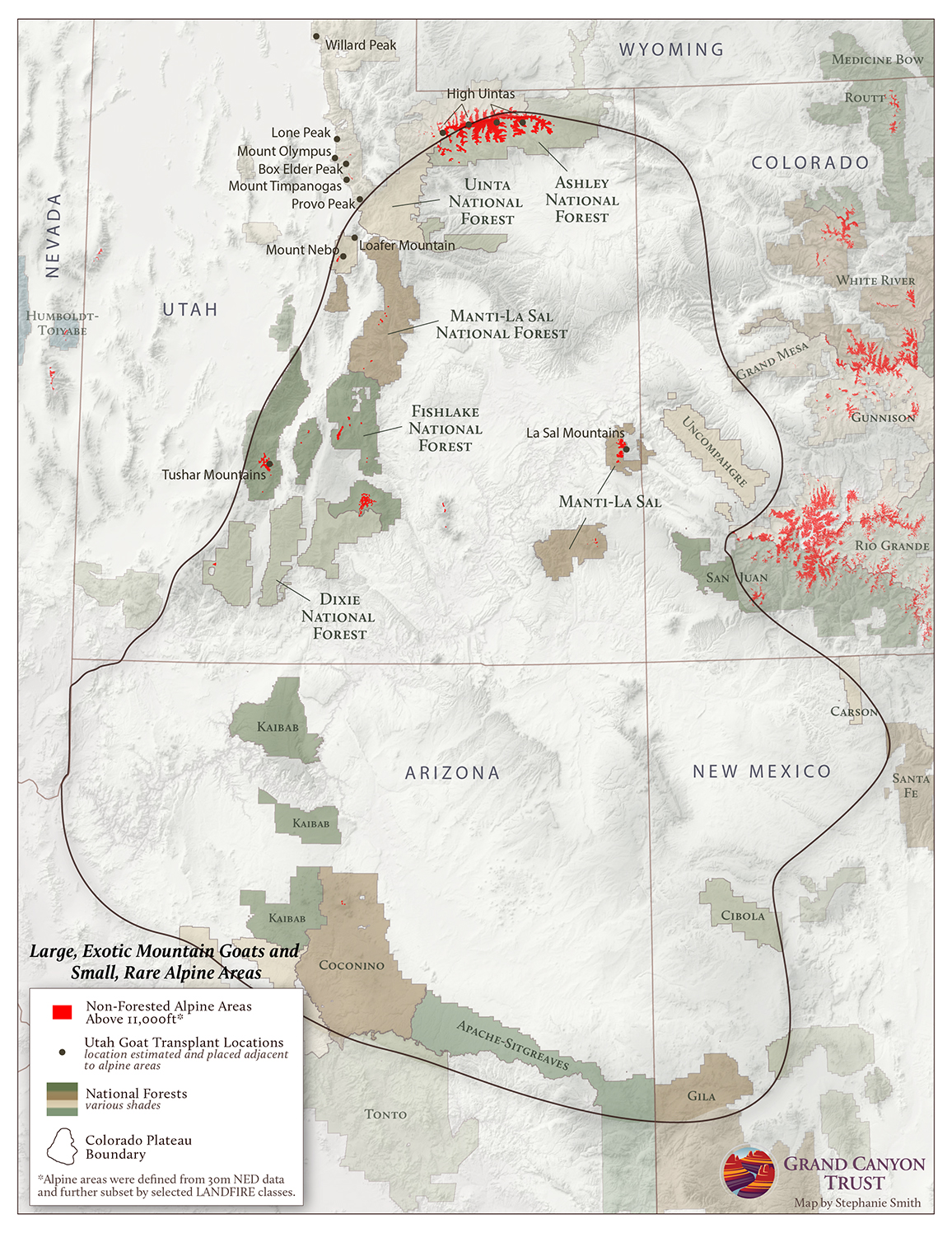 Rocky Mountain goats in alpine areas