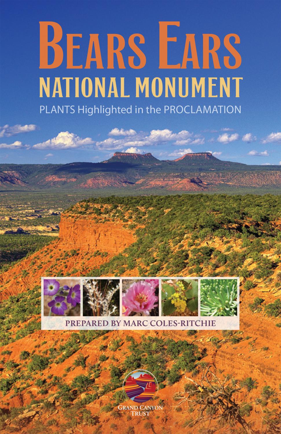 Plants of Bears Ears National Monument