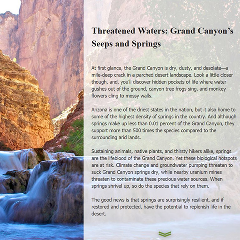 Springs in the Grand Canyon