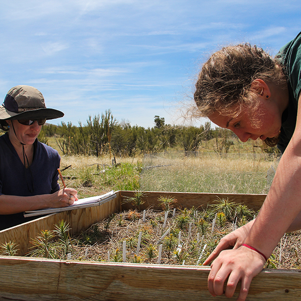 Climate change research on the North Rim Ranches