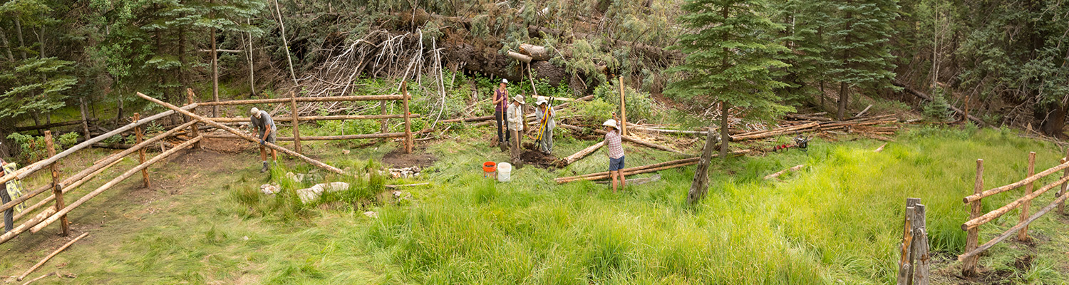 Springs - header
