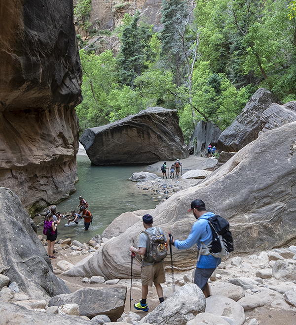 Zion - favorite hikes