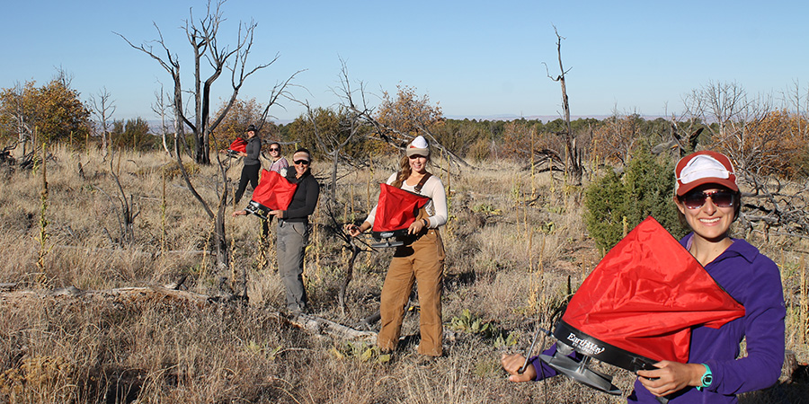 A line of women holding red cloth strung out across a desert landscape measuring green strips