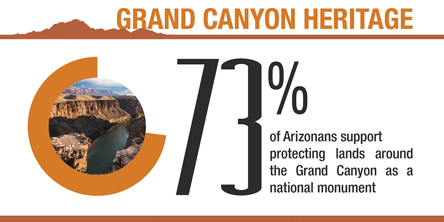 Graphic showing 73% of Arizonans support protecting land around grand canyon as a national monument