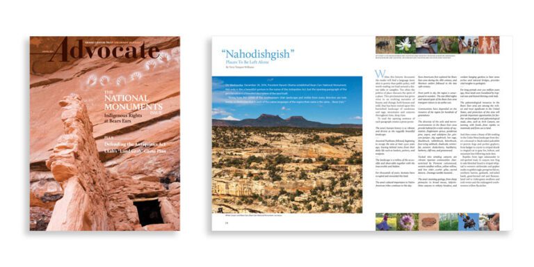 Grand Canyon Trust Colorado Plateau Advocate Magazine cover and open spread featuring articles and photos about national monuments, landscapes, plants, and Indigenous rights in Bears Ears.