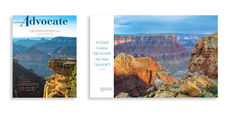 Grand Canyon Trust Colorado Plateau Advocate Magazine spread featuring the Grand Canyon; the cover shows a person standing on a cliff, and the inside photo displays a wide view of the canyon with text about the Grand Canyon’s status.