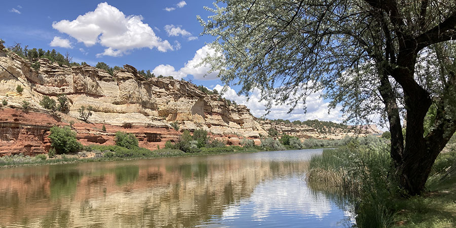Peaceful river with clear reflections beneath a tree, bordered by layered rock formations and shrubs under a blue sky with scattered clouds.