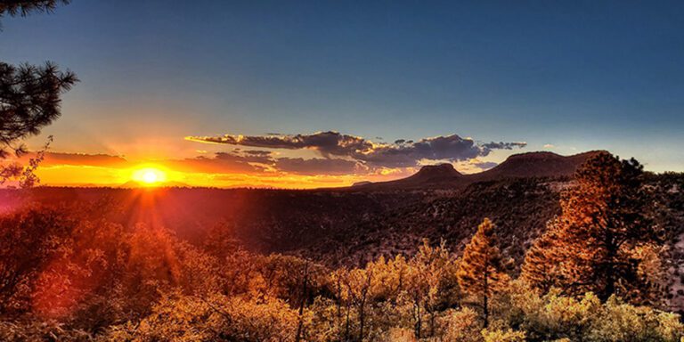 Golden yellow sun casting orange haze across forest with Bears Ears buttes in the distance