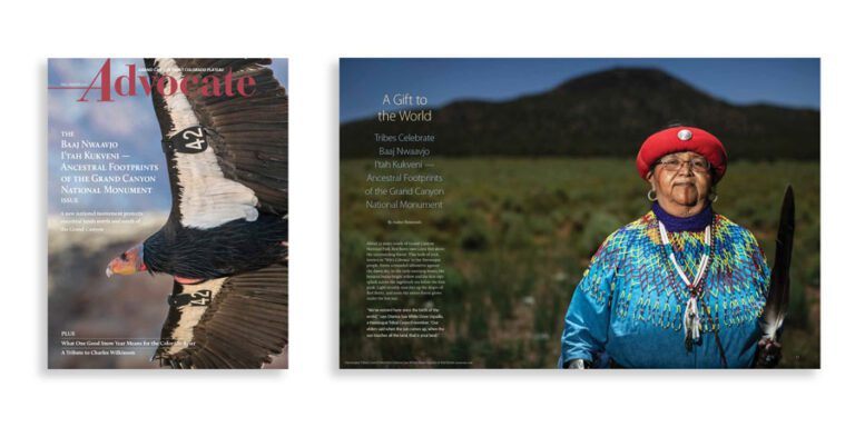 Grand Canyon Trust Colorado Plateau Advocate Magazine spread featuring a condor in flight on the cover and an Indigenous woman in traditional attire holding a feather on the inside page, with mountains and grassland in the background.