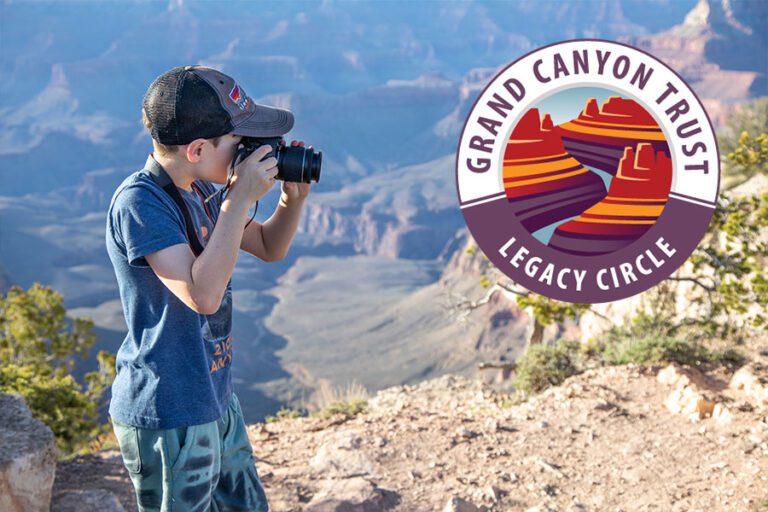 A boy holds a camera up to his eye on the rim of the Grand Canyon