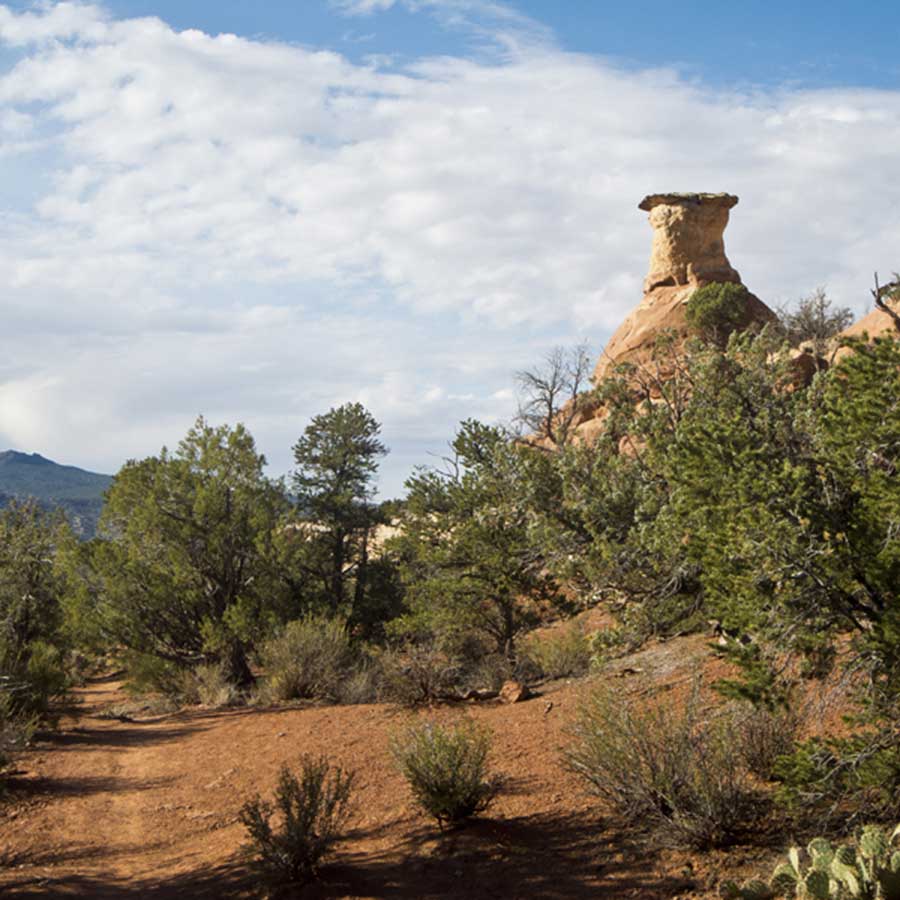 A view of the trail, on flat red ground, with a hoodoo to the side in Sand Canyon