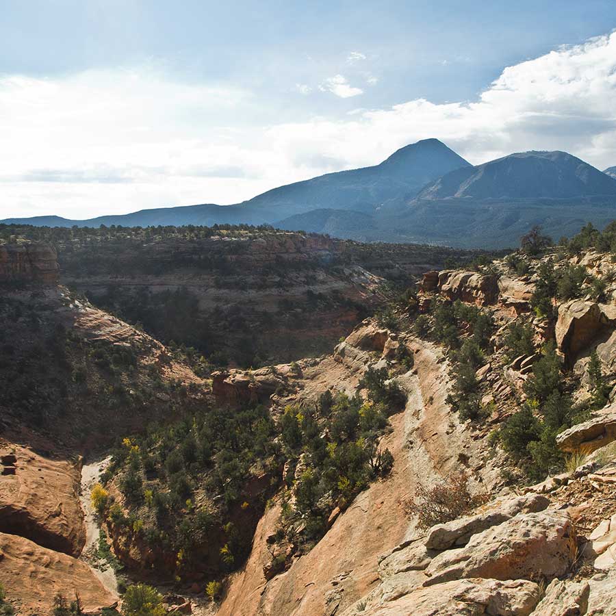 A view from the South Rim of Sand Canyon Trail