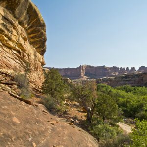 A slickrock bench drops off gradually to a vegetation filled floor