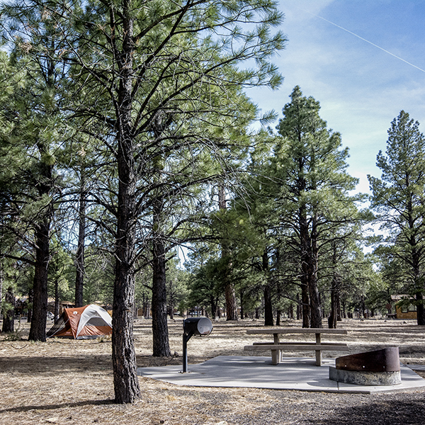 A picnic table, fire ring, and tent at a campsite