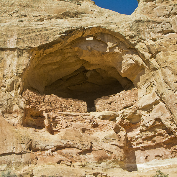 SCH IＭＭEL CANYON OF THE AGES Canyon Of The Ancients Guest Ranch | Colorado Adventures