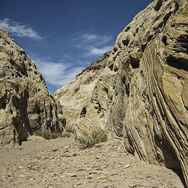 A low sandstone canyon with textured walls