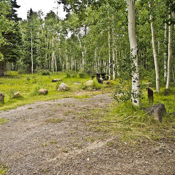 An empty campsite at Elkhorn Campground