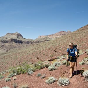 A woman hikes on the Escalante Route on red slopes with small green shrubs lining the trail