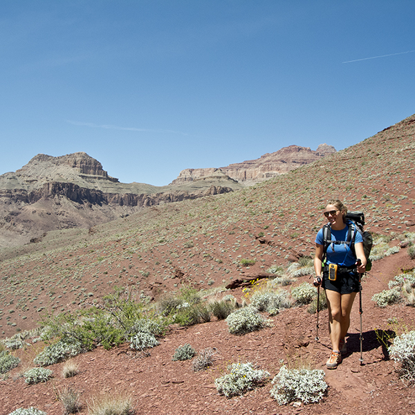 A woman hikes on the Escalante Route on red slopes with small green shrubs lining the trail
