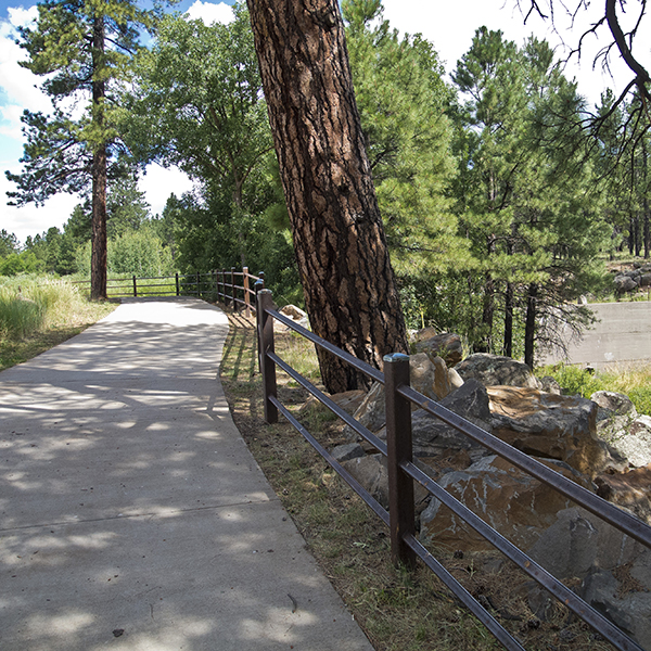 A cement path with a metal fence to the right and trees behind