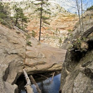 A pool along the Hidden Canyon Trail