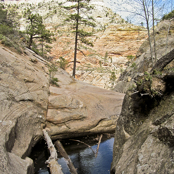 A pool along the Hidden Canyon Trail