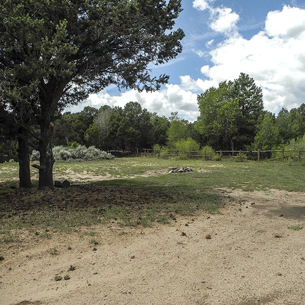 An empty site in Lower Bowns Campground