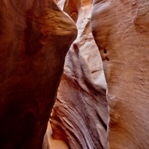A view of the tight canyon walls in Peekaboo canyon