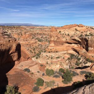 Colorful slickrock dominates the view on Phipps Wash trail