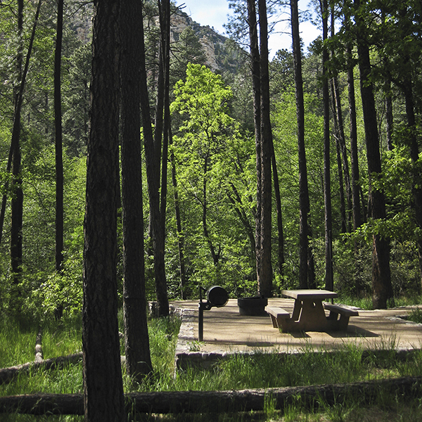 An empty concrete pad with a picnic table at Pine Flat Campground