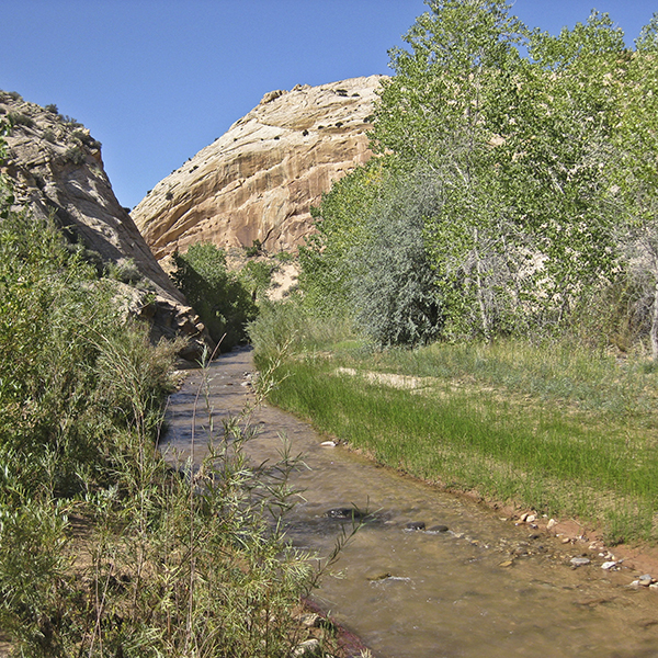 A small, clear creek with grassy banks and sandstone in the distance