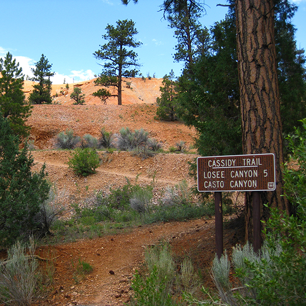 Cassidy Canyon trail sign in red slopes