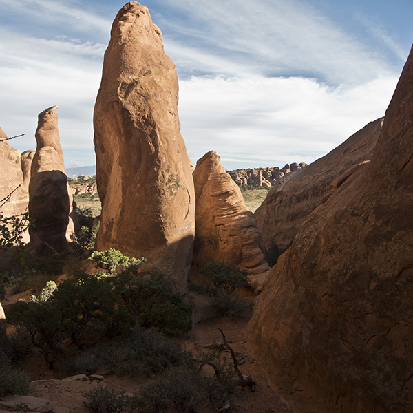 A view of orange sandstone fins in Arches National Park