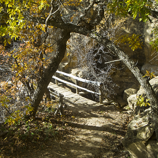 Trees with yellowing leaves frame a bridge over a creek in the canyon bottom