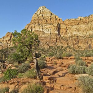 A sandstone promontory called the Watchman