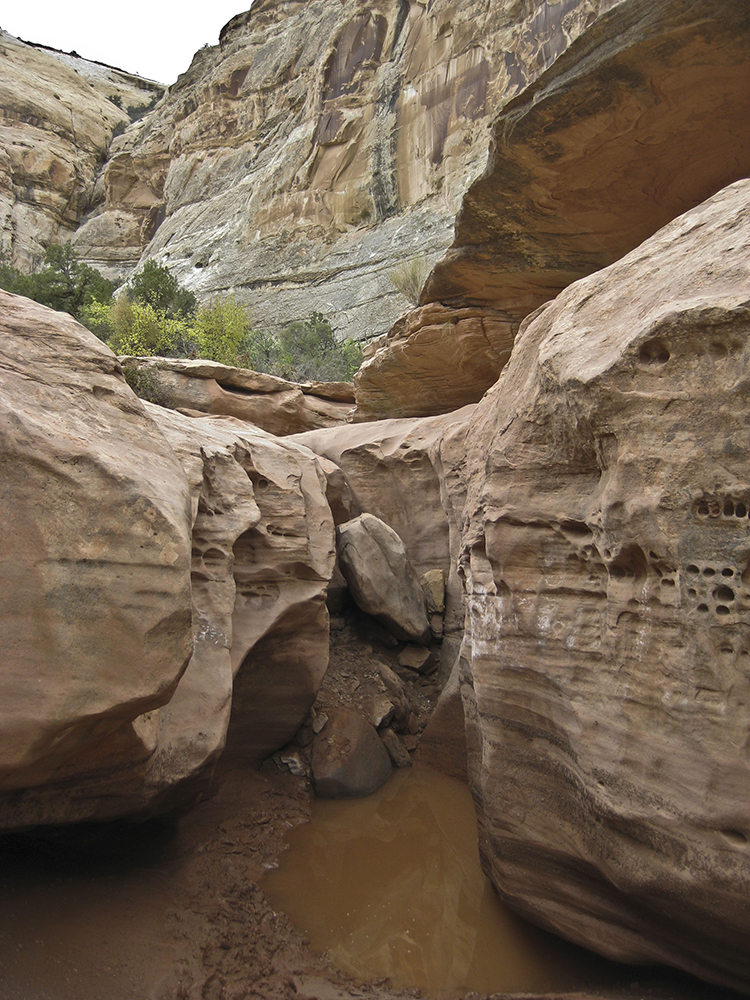 A muddy pool beneath a pour-over in the canyon