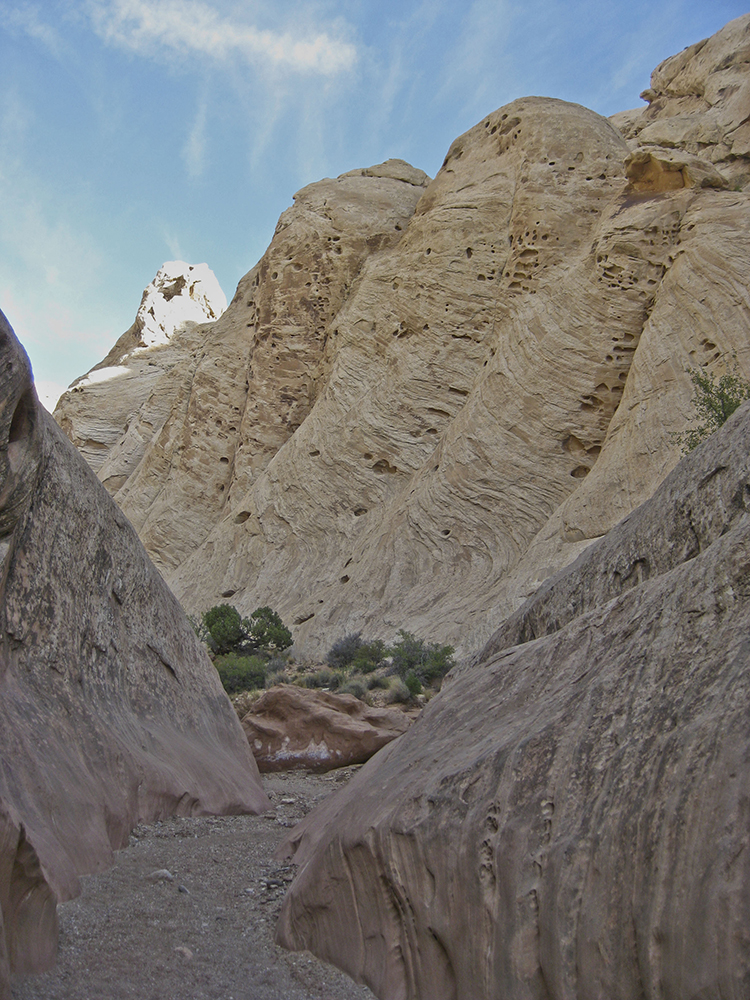 White slickrock canyon walls