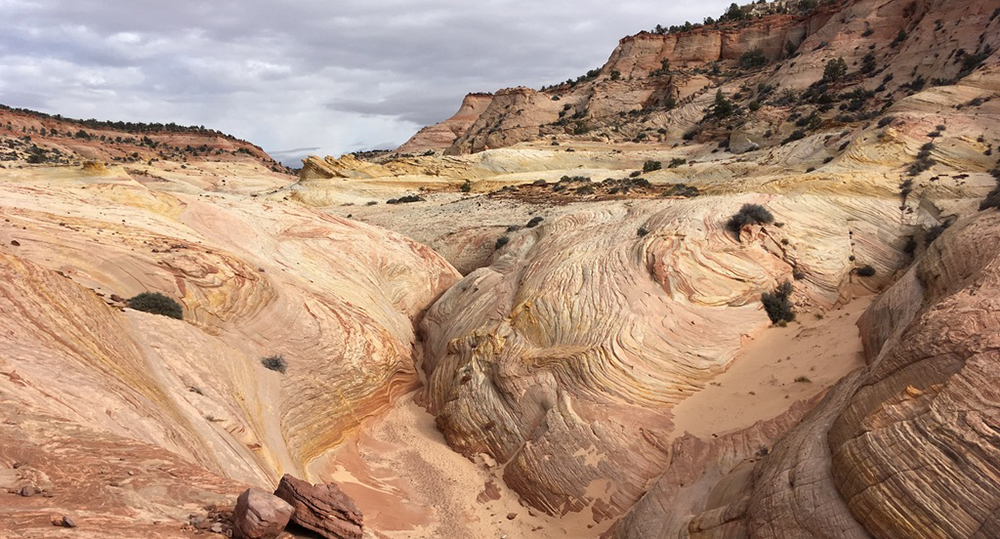 Yellow, orange, and red slickrock of Big Horn Canyon