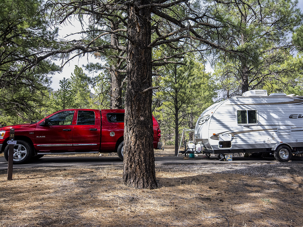A red tuck and trailer in the pine trees