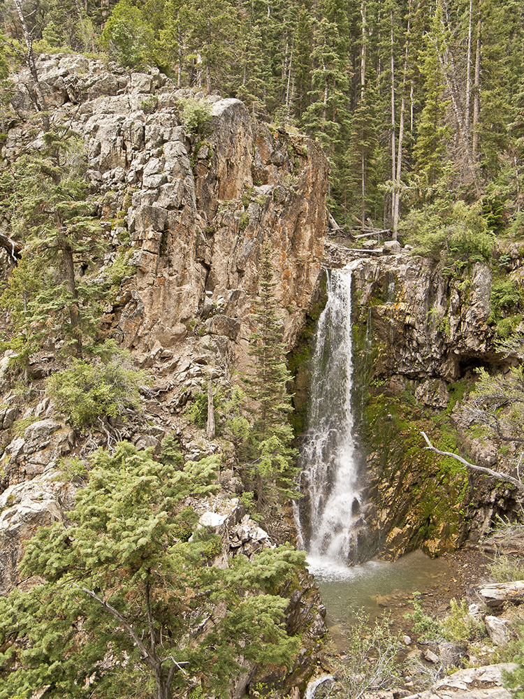 Bullion waterfall with trees surrounding the cliffs.