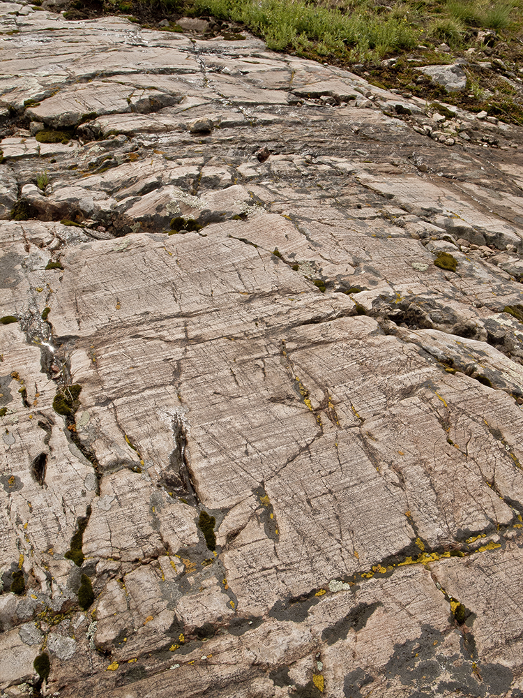Polished quarts on the Bullion Trail
