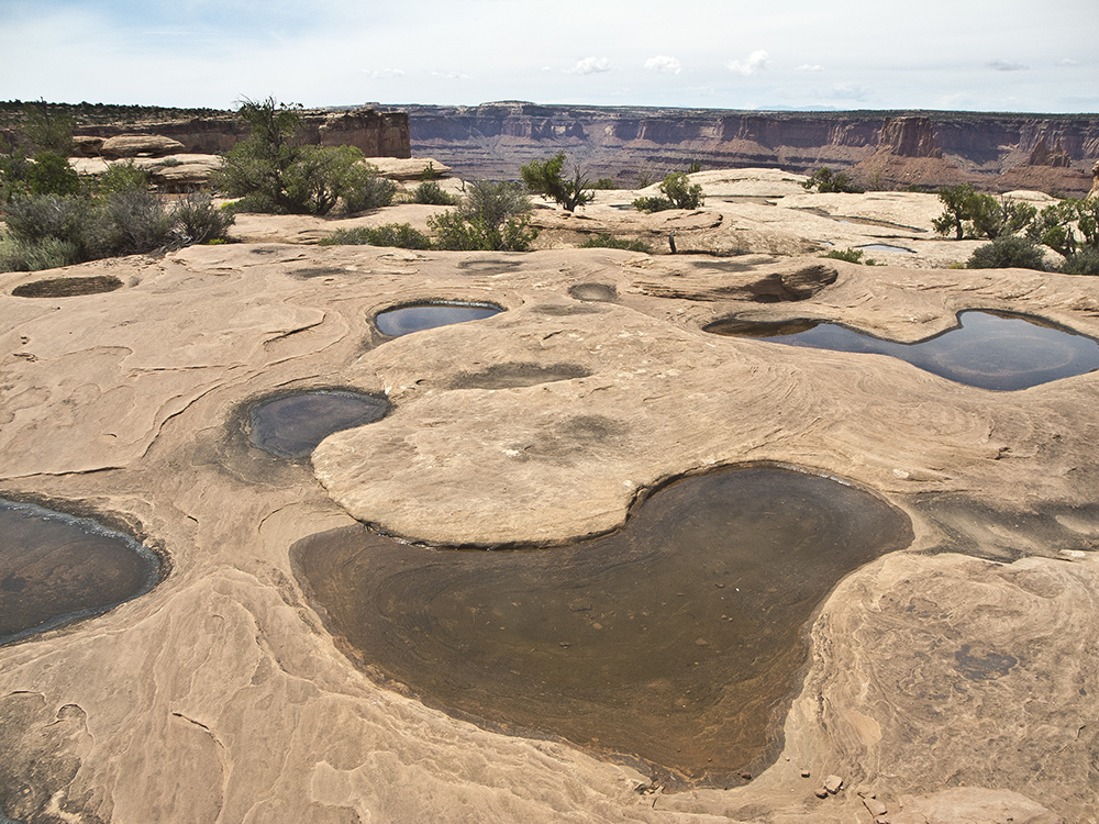 Water pocket on sandstone, filled from recent rain in Dead Horse Point State Park