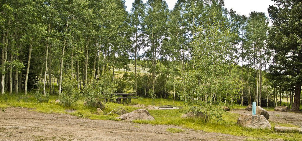 A campsite in the aspens