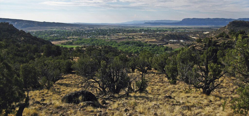 Pinyon and juniper forest outside of Escalante, Utah