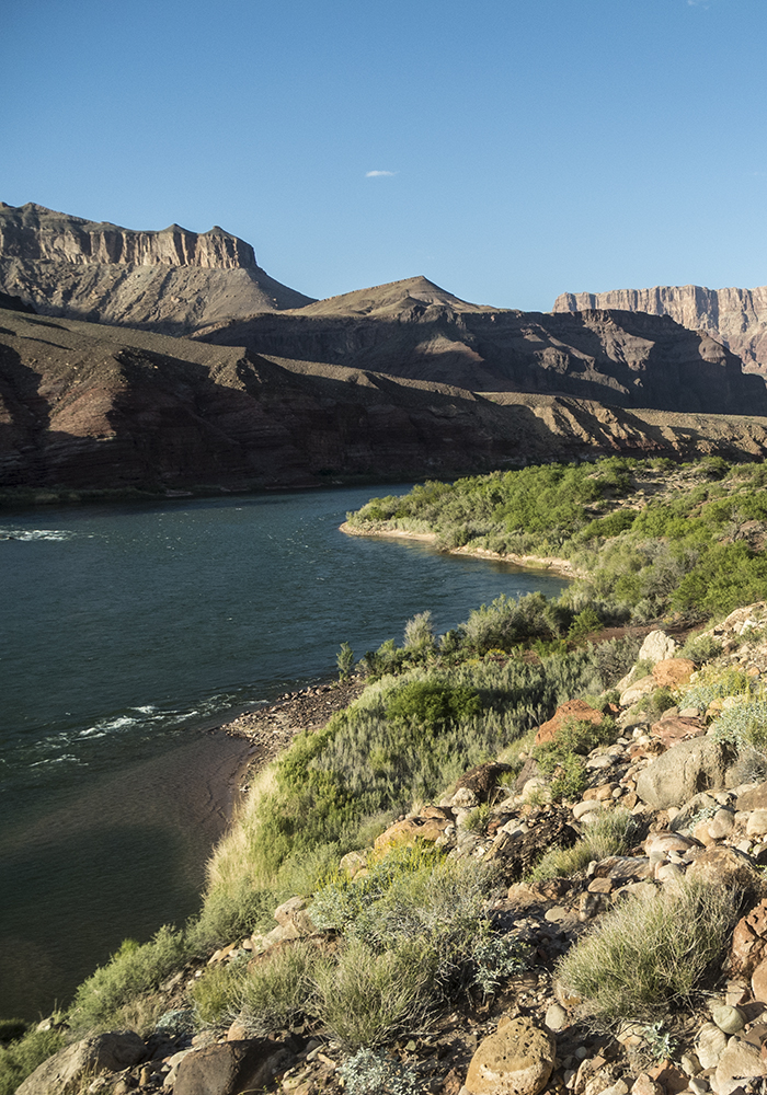 A view of the Colorado River in the Grand Canyon