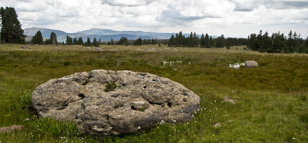 A large oval boulder in a green meadow with pine trees in the far distance